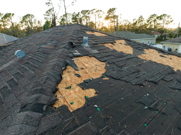 Best Solar Panel Roofing Installation  in Oxford, IN