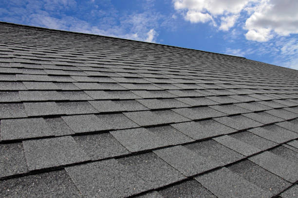 Best Roof Maintenance and Cleaning  in Oxford, IN